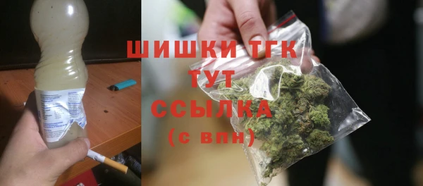 дмт Лиски