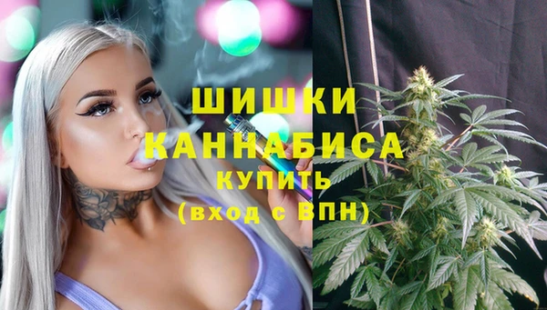 apvp Магас