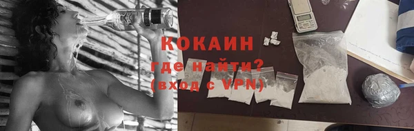 дмт Лиски