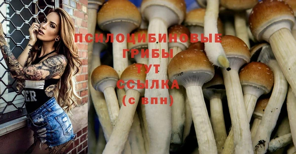 дмт Лиски