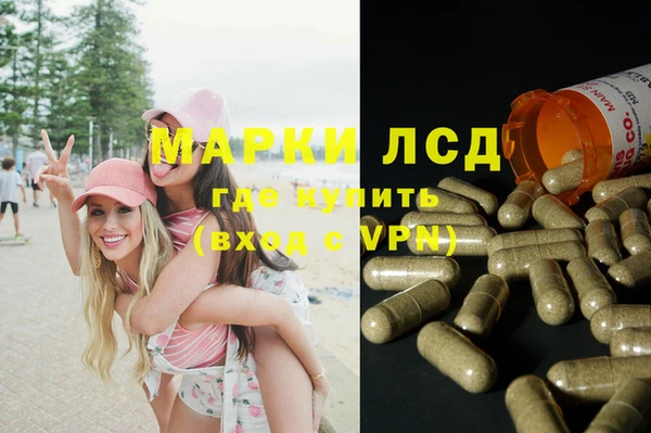 спайс Липки