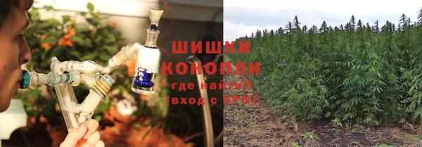 дмт Лиски